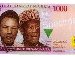 Money specimen (Naira) - Image 7