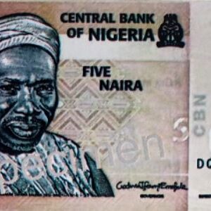 Money specimen (Naira) - Image 2